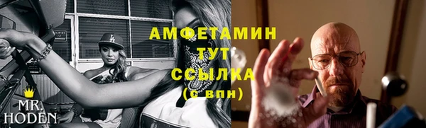 ПСИЛОЦИБИНОВЫЕ ГРИБЫ Арсеньев