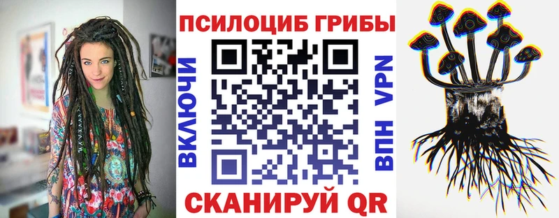 Галлюциногенные грибы мицелий  сколько стоит  blacksprut зеркало  Малмыж 